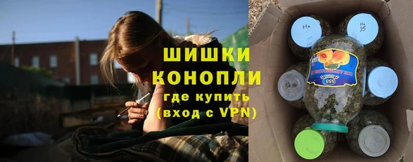 таблы Бородино
