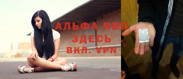 таблы Бородино