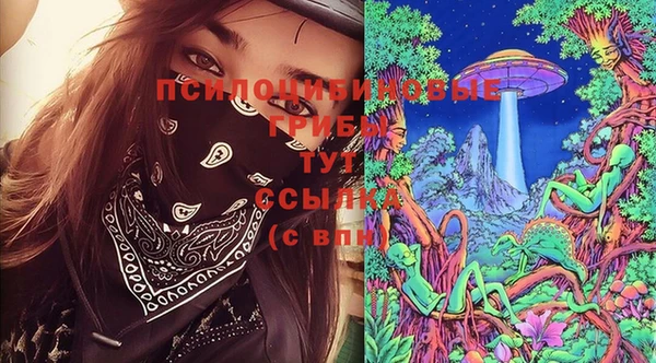 прущие крисы Бронницы