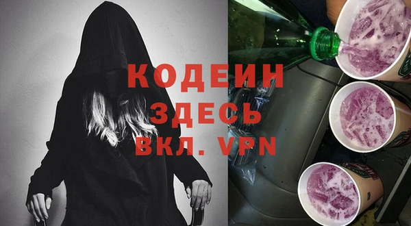 таблы Бородино