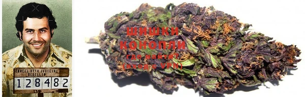 прущие крисы Бугульма